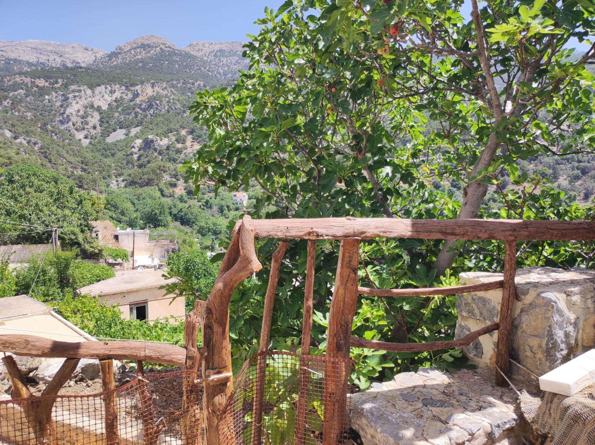 Вилла Kato Symi House Kato Simi Экстерьер фото